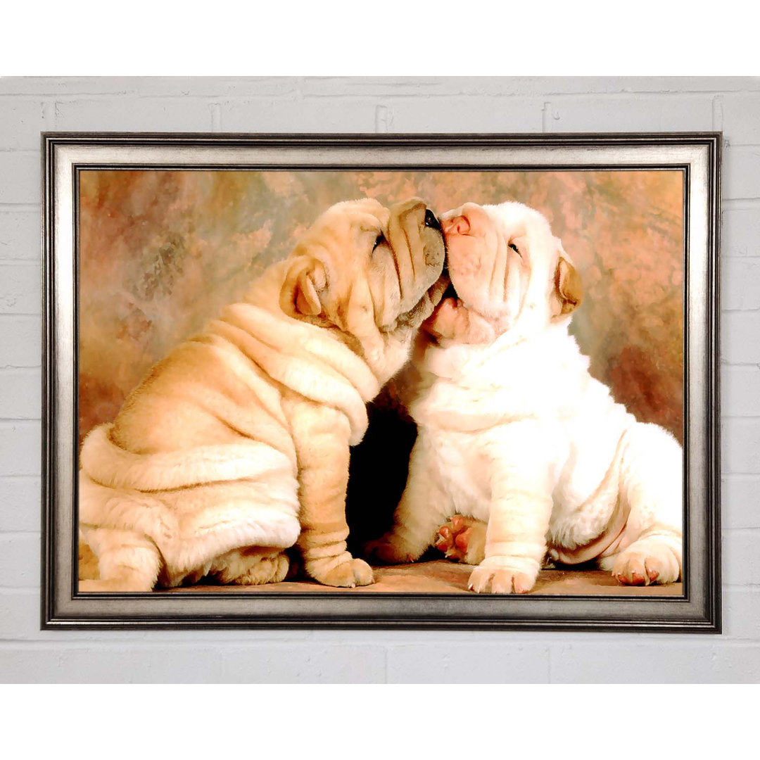 Shar Pei Welpen - Drucken