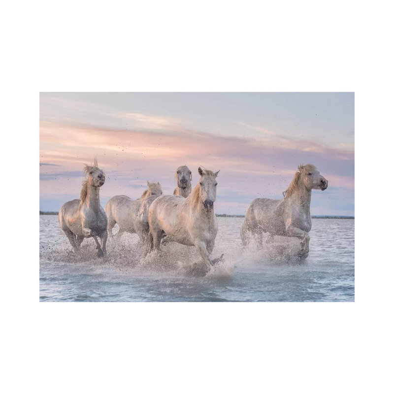 White Angels Of Camargue XXXI by Daniel Kordan - Print on Canvas, 20.32 cm H x 30.48 cm W, Wrapped Canvas