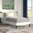 Sharon Bed with Squared Tapered Legs-2047047023-2135992841