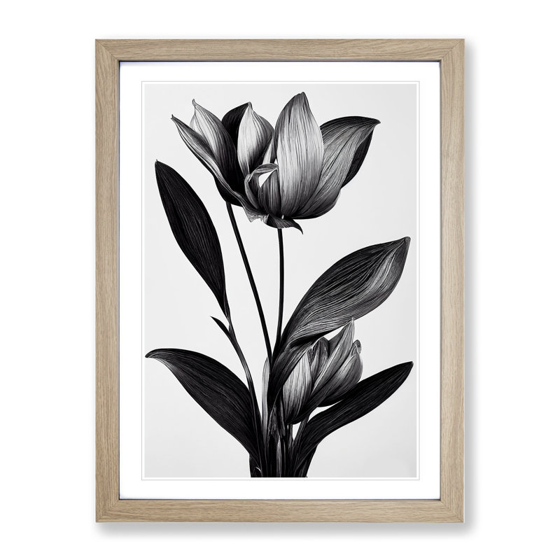 Monochrome Flower - Framed Print, 34cm H x 25cm W x 2cm D, Oak