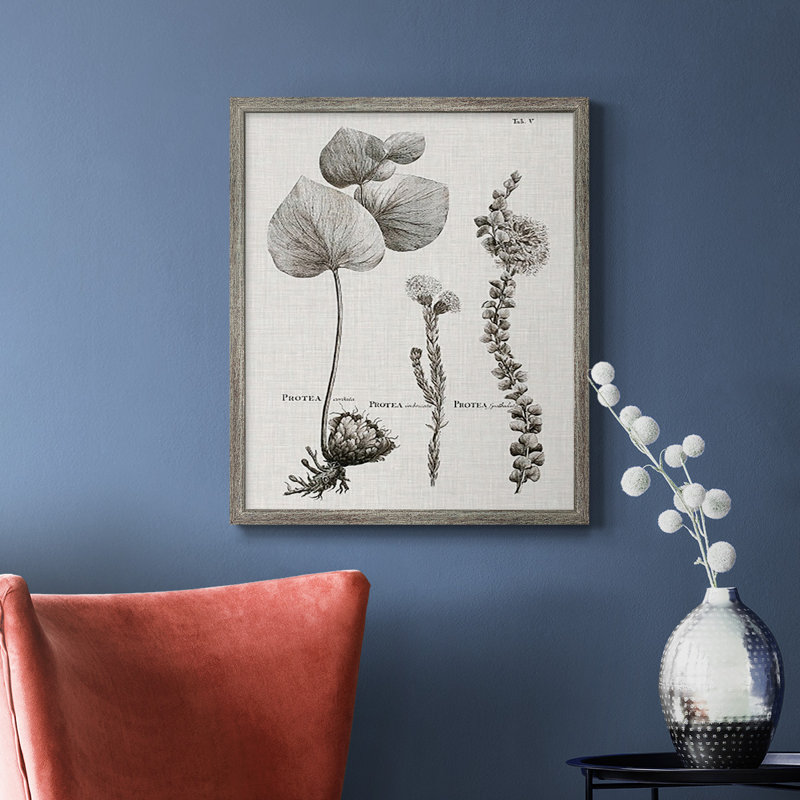 Toile encadrée noire et blanche Protea on Linen II de qualité supérieure - prête à être accrochée, Argent patiné