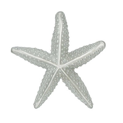 Grand bouton étoile de mer