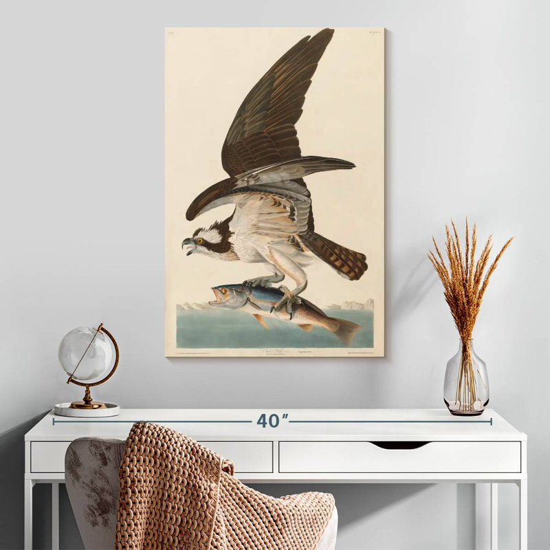 Osprey et petit-déjeuner Brampt, H 30 po x l 20 po