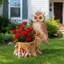 Jardinières hibou, décor rustique d'aspect bois de résine durable pour cour de véranda