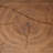 Walnut Abstract Glass Decorative Object