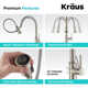 Sellette Pull Down Single Handle Kitchen Faucet