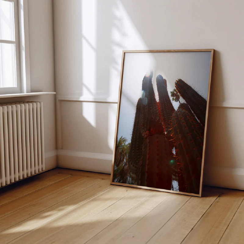Cactus Travel Print 1, 40cm H x 30cm W