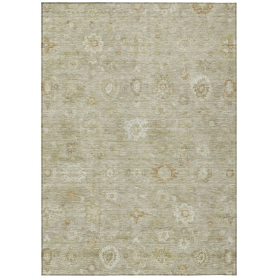 Machine Washable Indoor/Outdoor Xhevrie Beige Rug
