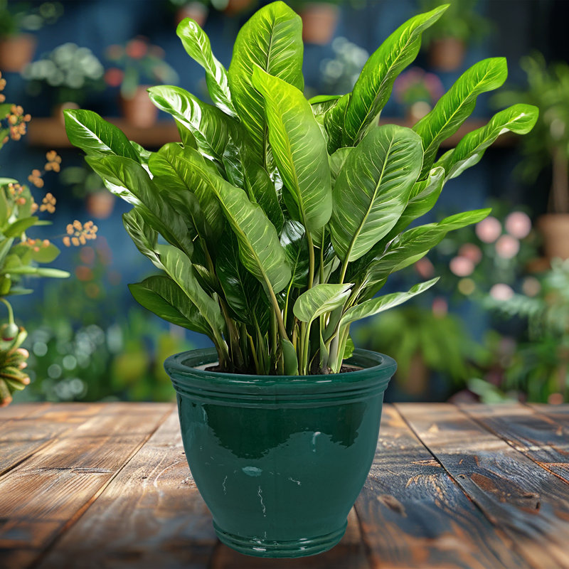 Berlina Round Imperial Ceramic Outdoor Planter, 12.5" H x 15" W x 15" D, Dark Green