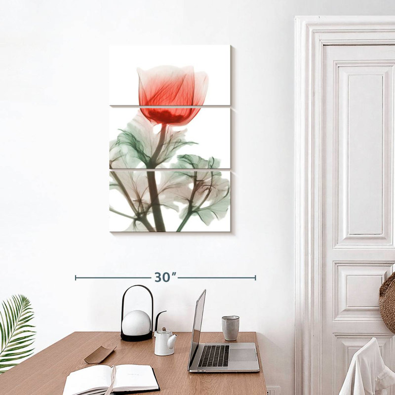 Anémone Harnek Lonely Poinciana, H 32 po x l 20 po
