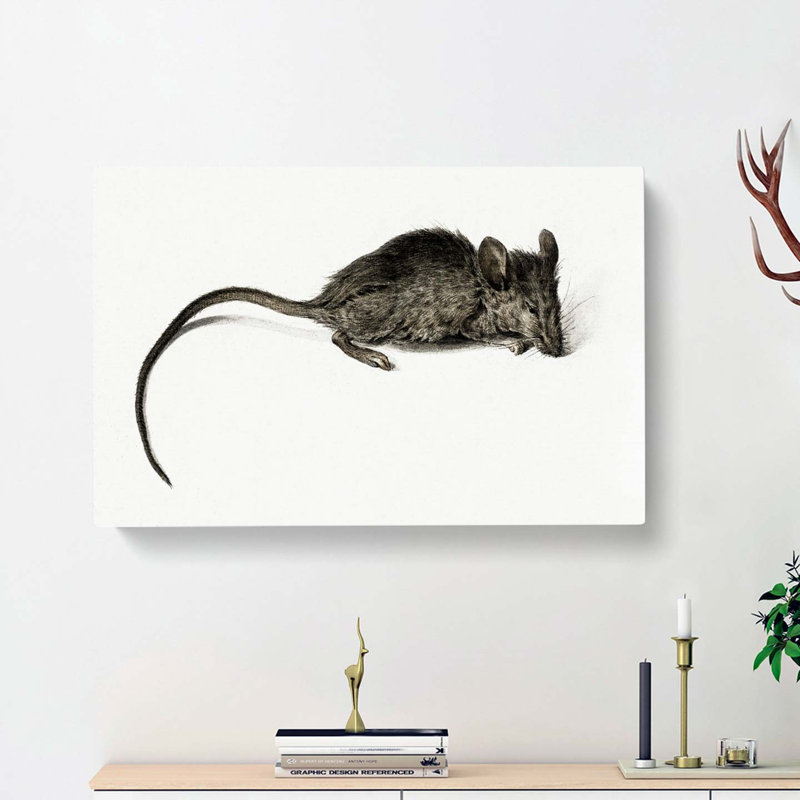 Mouse by Jean Bernard - Wrapped Canvas, 40cm H x 60cm W x 3cm D