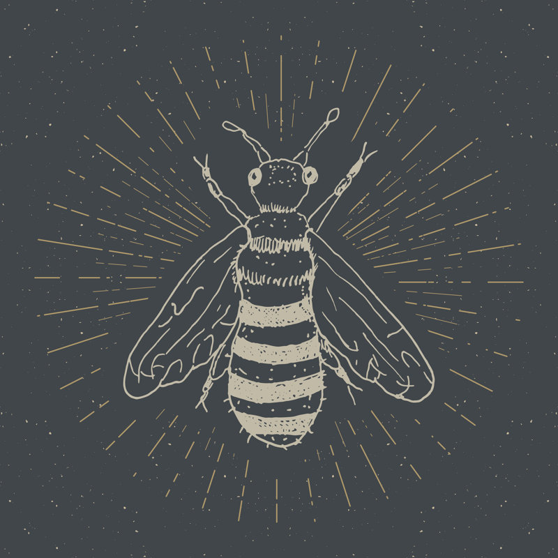 Gaudet Bee - Wrapped Canvas Print, 30cm H x 30cm W x 3.8cm D