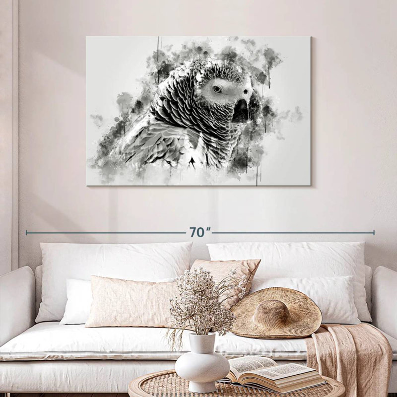 Perroquet gris d'Afrique noir et blanc
