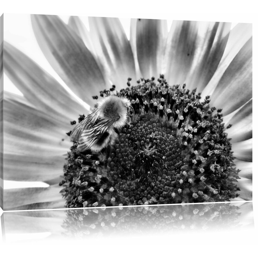 Leinwandbild Biene auf Sonnenblume in Monochrom