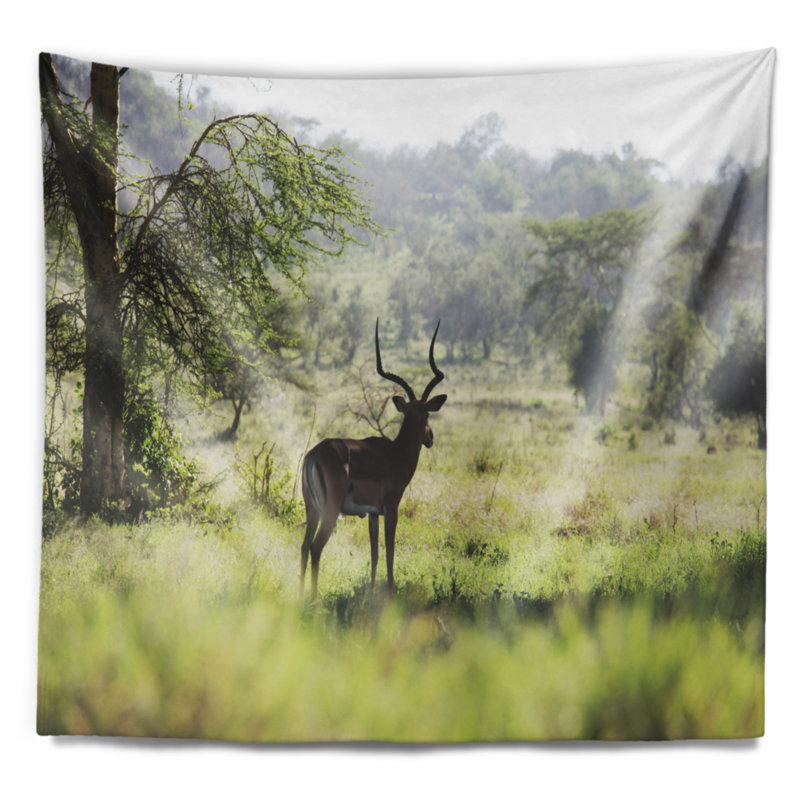 Tapisserie solitary antilope park landscape, H 32 po x l 39 po