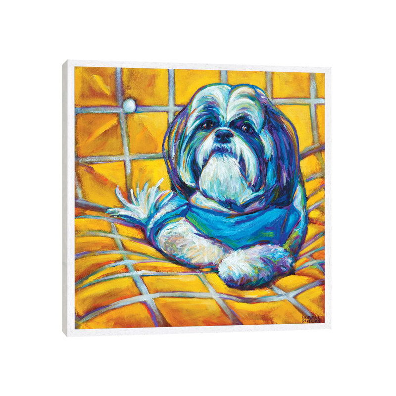 Shih Tzu by Robert Phelps - Print on Canvas, 45.72 cm H x 45.72 cm W, White Framed
