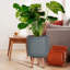 Honeycomb Style Cylinder Round Planter with Feet-379134889