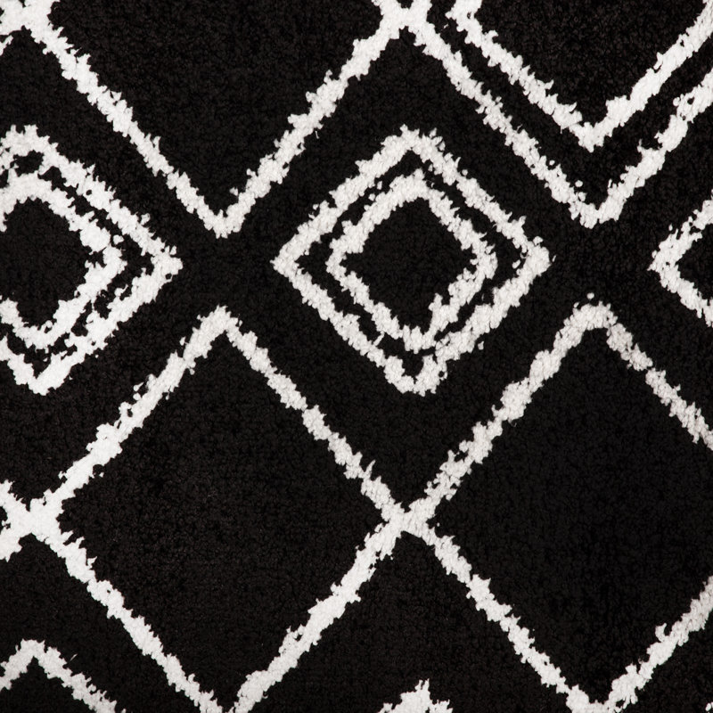 Tapis noir à motifs géométriques, Rectangle de 2 pi x 3 pi