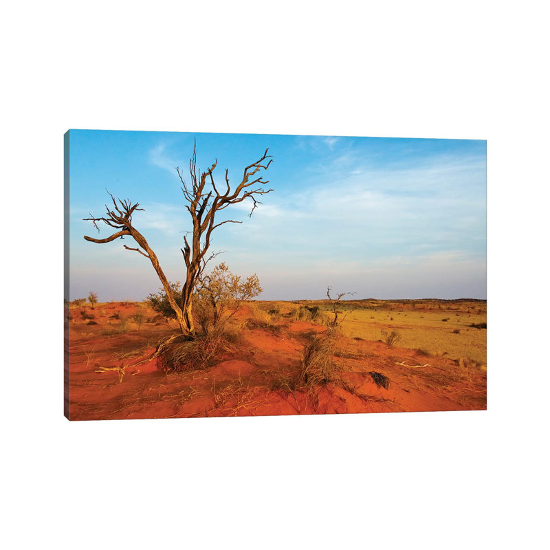 Dead Tree On Red Sand Desert, Kgalagadi Transfrontier Park, South Africa by Keren Su - Wrapped Canvas Gallery-Wrapped Canvas Giclée