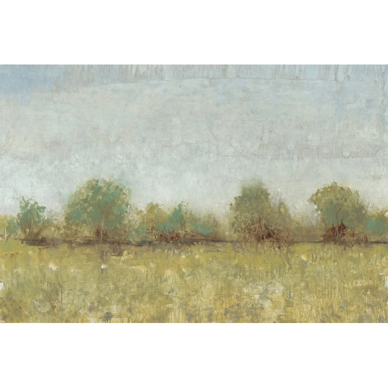 Spring Field I by Timothy O' Toole - Wrapped Canvas Print, 20cm H x 30cm W x 3.8cm D