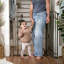 Barrière de sécurité décorative multi-usage très haute pour animaux de compagnie et pour bébés, 28,5 pi à 48 pi de large, 36 pi de haut, fixée à la pression ou à la quincaillerie, à installer sur un mur ou une rampe dans une porte ou un escali