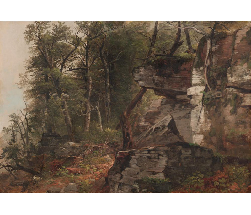 «Trees on a Rocky Hillside» par Asher Brown Durand - Art mural sur toile tendue avec châssis, H 14 po x l 18 po