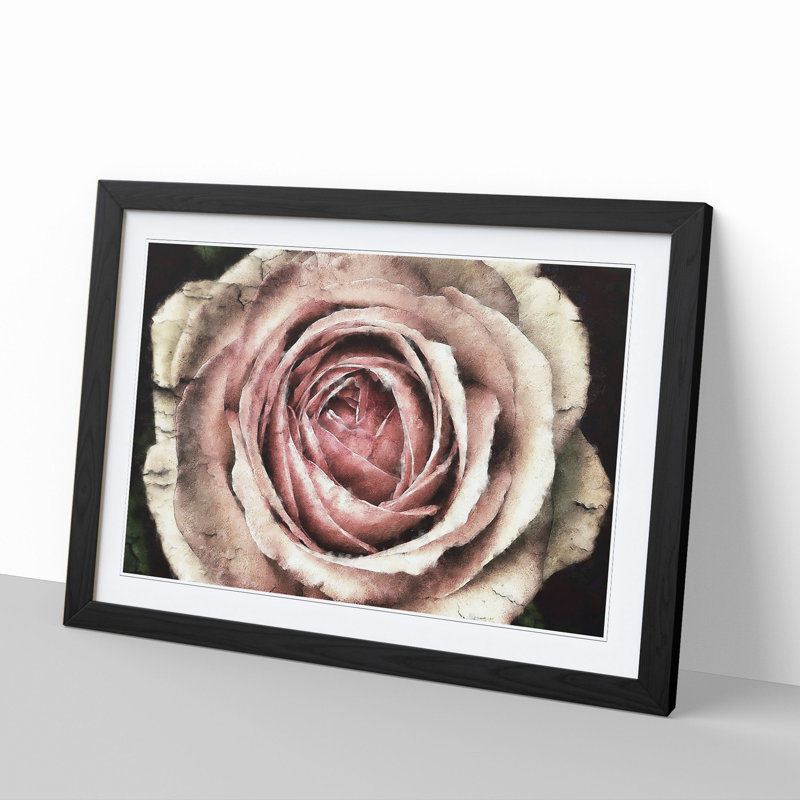 Pink Rose Flower Vol.3 - Framed Print, 48cm H x 65cm W x 2cm D, Black Framed