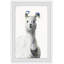 Llama - Single Picture Frame Painting-1111065740