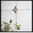 Chongris Arch Wall Mirror
