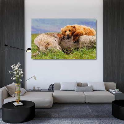 La vie est un ours IMA-M740