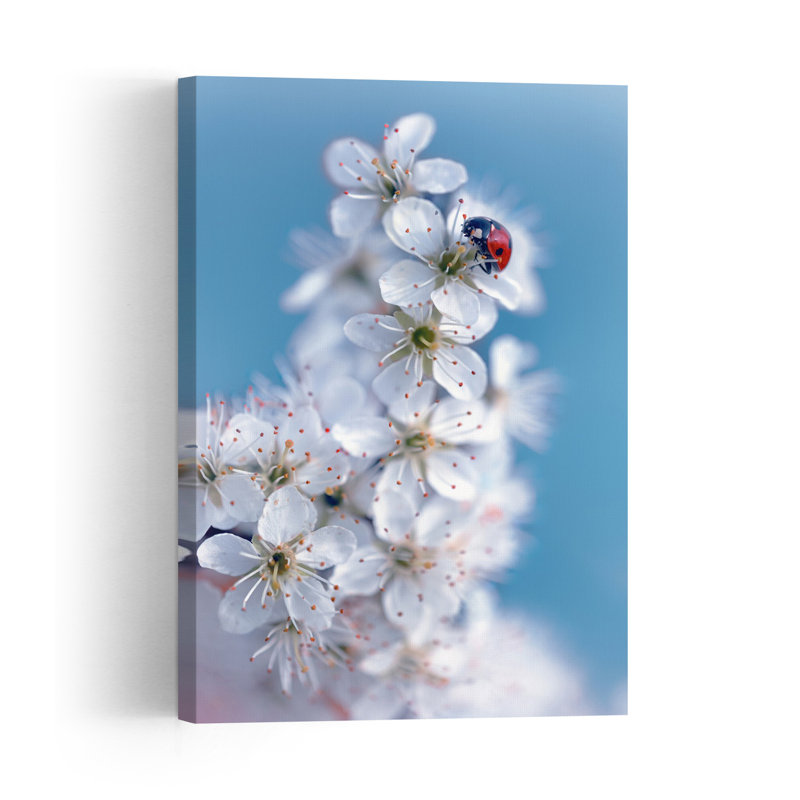 Ladybug'S Spring Blossoms Delicate Ladybug Flower Nature Wall Art Print 1 Piece Wrapped Canvas Wall Art