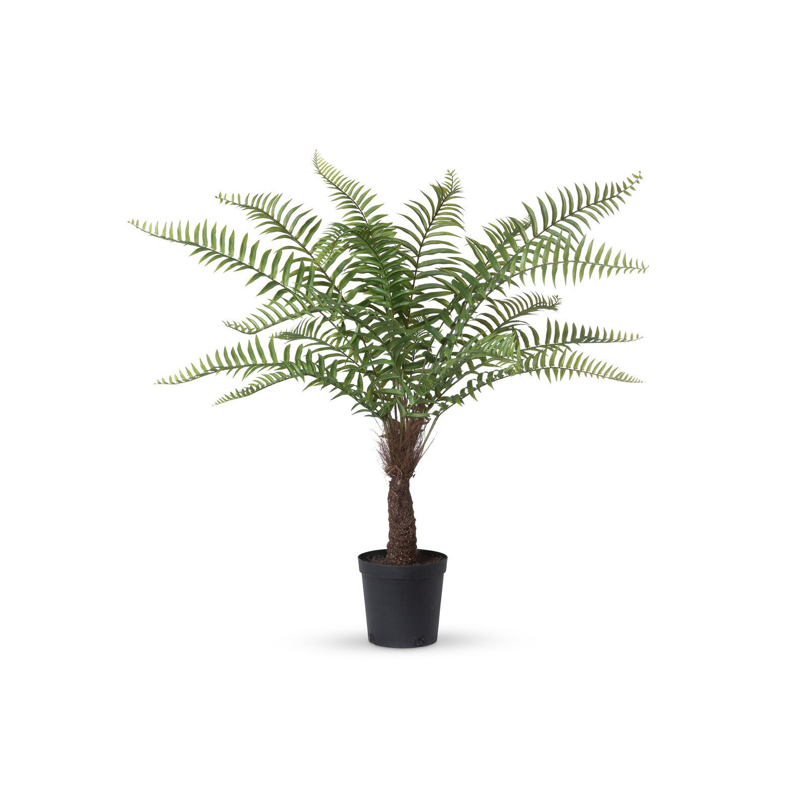Faux Fern Tree in Pot, 4'