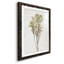 Farmhouse Pressed Flower II - peinture encadrée-1572627888-1572627891