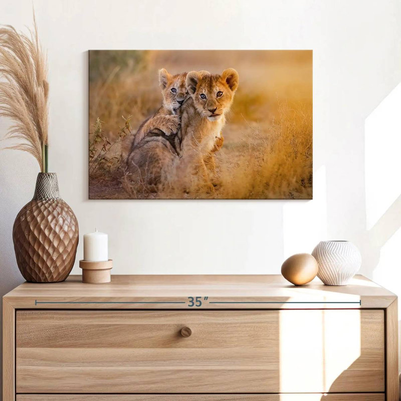 Adorables lionceaux Brampt, H 16 po x l 24 po