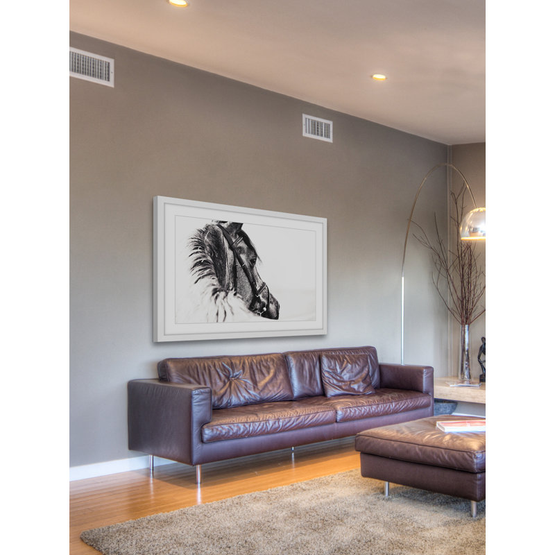 « equus profile », reproduction de photo sur papier encadrée, H 30 po x l 45 po x P 1,5 po