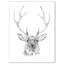 Cerf en noir et blanc - impression sur toile tendue-29495842