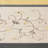 Embroidered Curtain Panel-1632658836