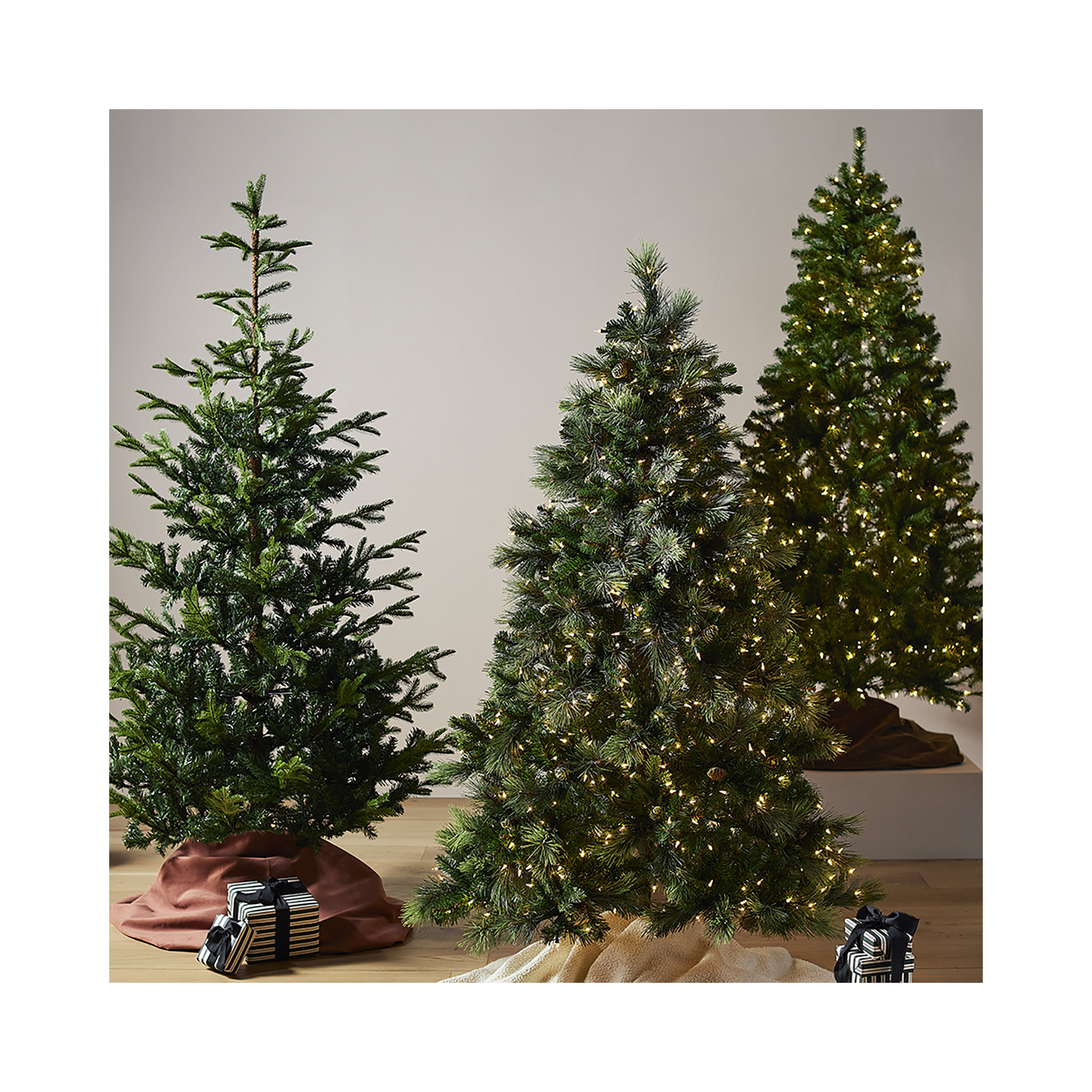  Carolina Pine Tree with Clear Lights, 7.5'