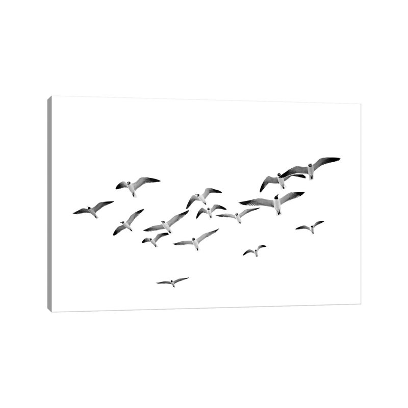 «Birds» par Sissi et Seb - reproduction de photo sur toile tendue, H 26 po x l 40 po x 1,5 po