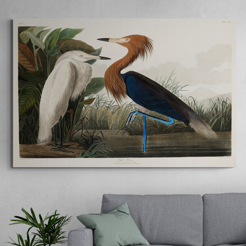 Purple Heron (1827) by John Audubon - 1 Piece Wrapped Canvas Wall Art, 31cm H x 41cm W