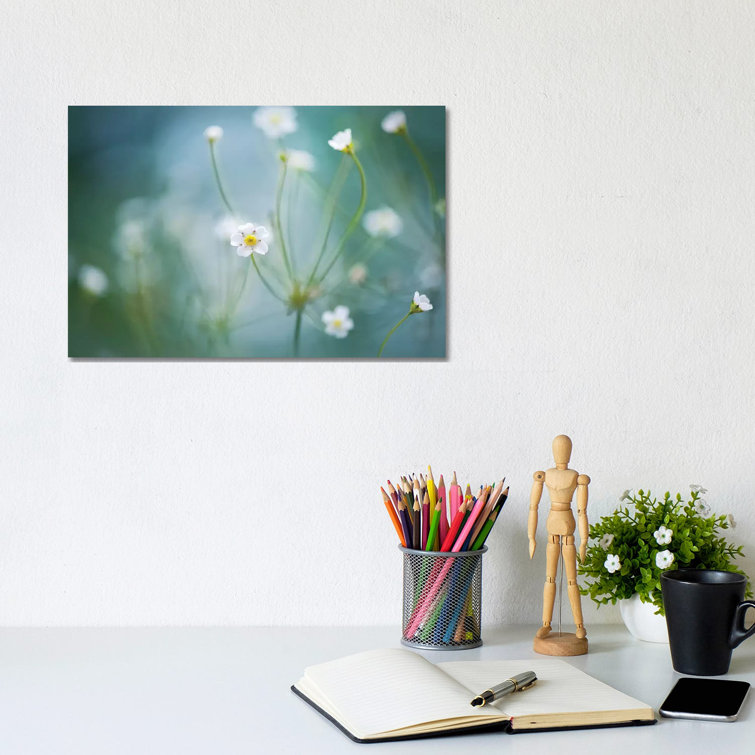 Rock Jasmine by Jacky Parker - Wrapped Canvas Gallery-Wrapped Canvas Giclée