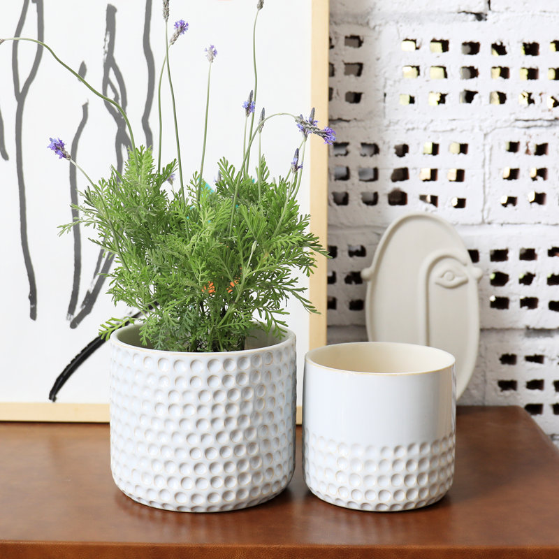Elayna Ceramic Pot Planter, Ivory White