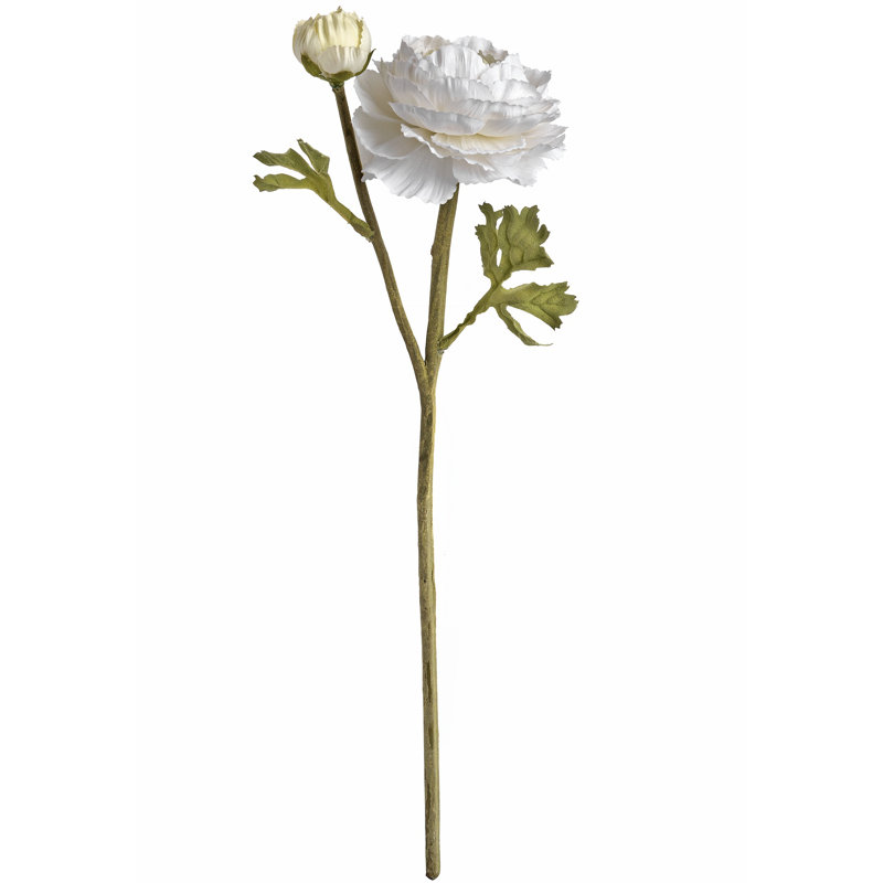 Arrangement, White
