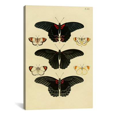 «Plate 91» par Cramer and Stoll, impression sur toile
