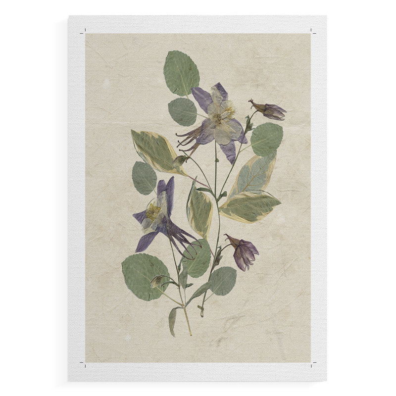 Pressed Arrangement IV -Canvas Print Only - NOT FRAMED, 36" H x 24" W