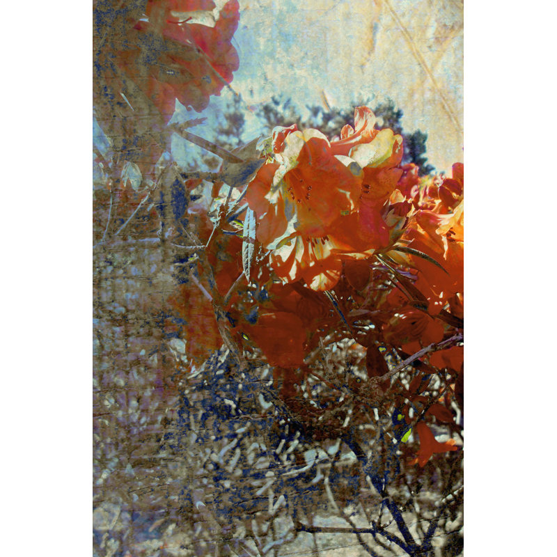 Tangled II by Danielle Harrington - Wrapped Canvas Print, 46cm H x 30cm W