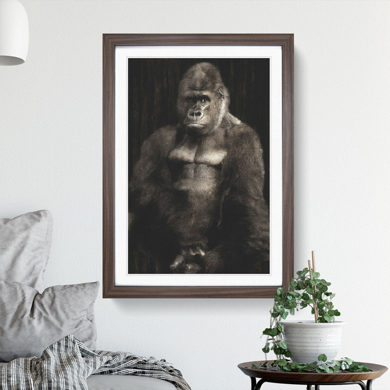 Silverback Gorilla Vol.2 - Framed Print, 48cm H x 36cm W x 2cm D, Walnut Framed