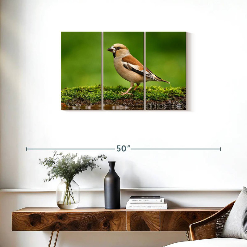 Finch, 20" H x 33" W