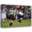 Sean Taylor-1322408158