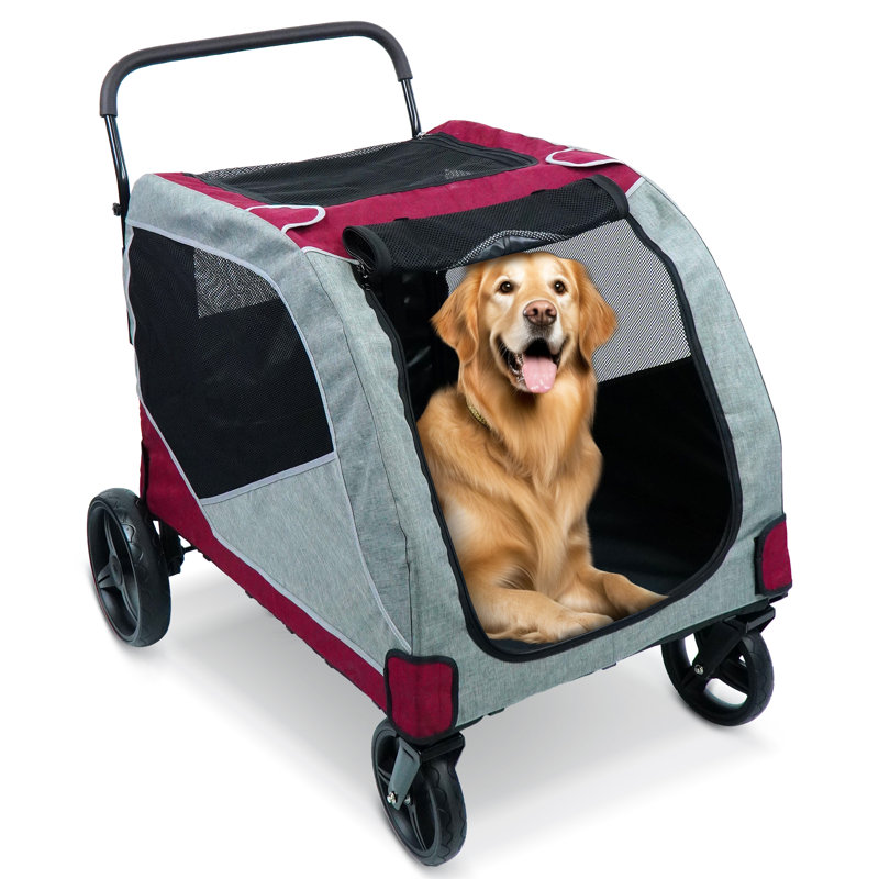 Grande poussette pour 2 chiens